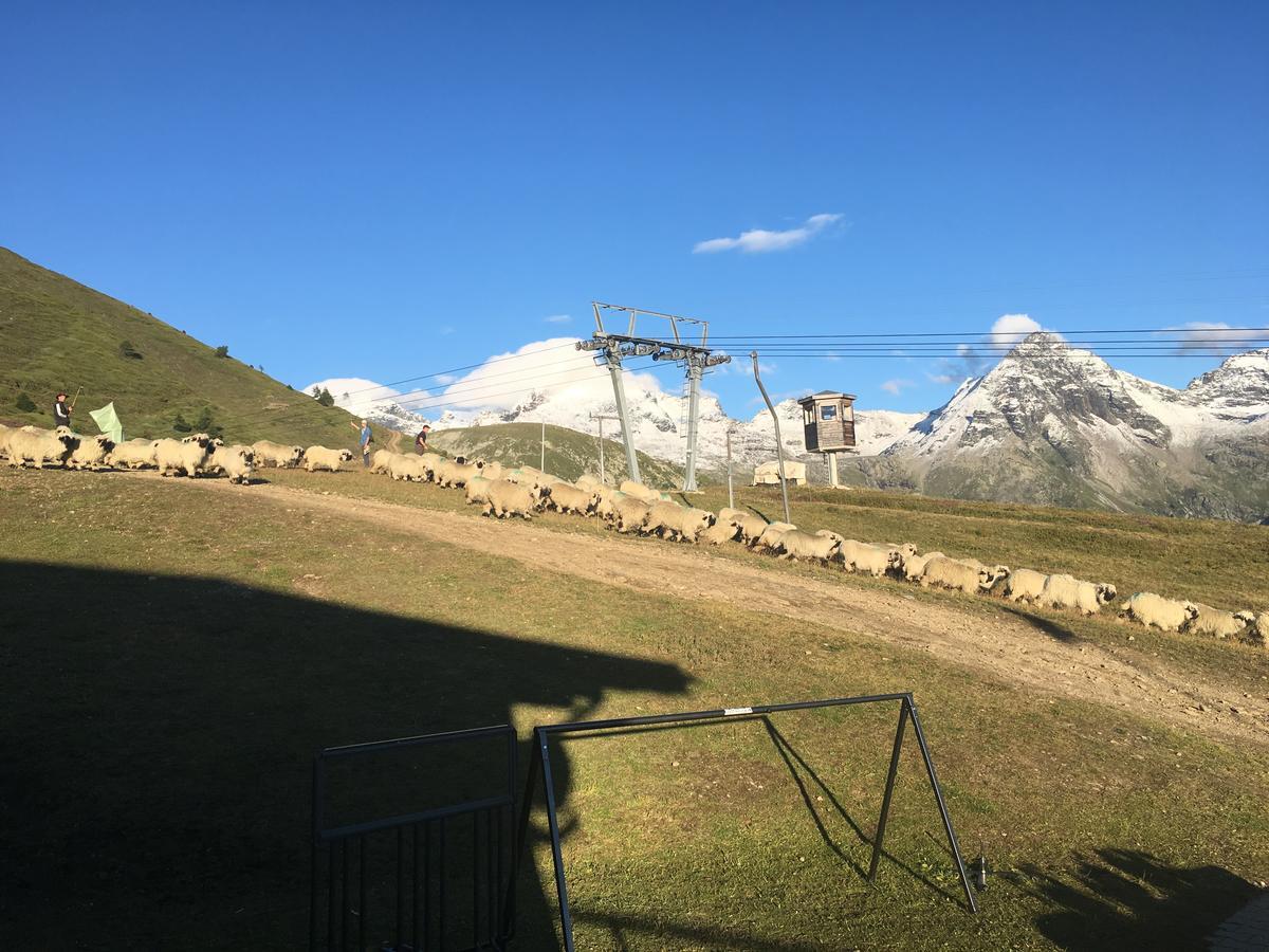 Rosswald Restaurant Fleschboden旅舍 外观 照片